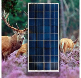 Полікристалічна сонячна панель Victron Energy 30W-12V SERIES 4A, ( 30 Вт)
